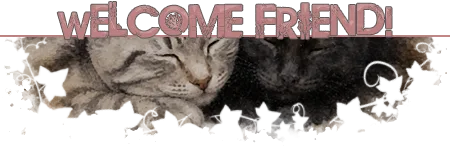 Welcome Friend!