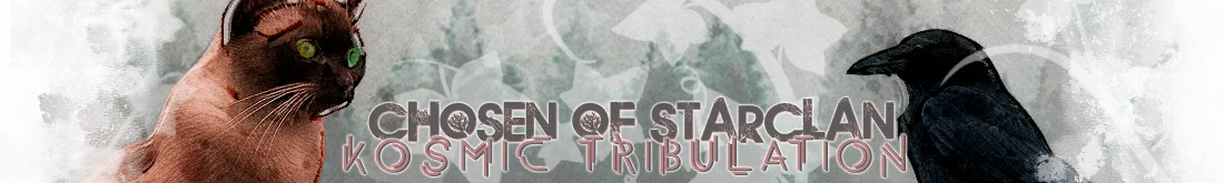 Chosen of StarClan